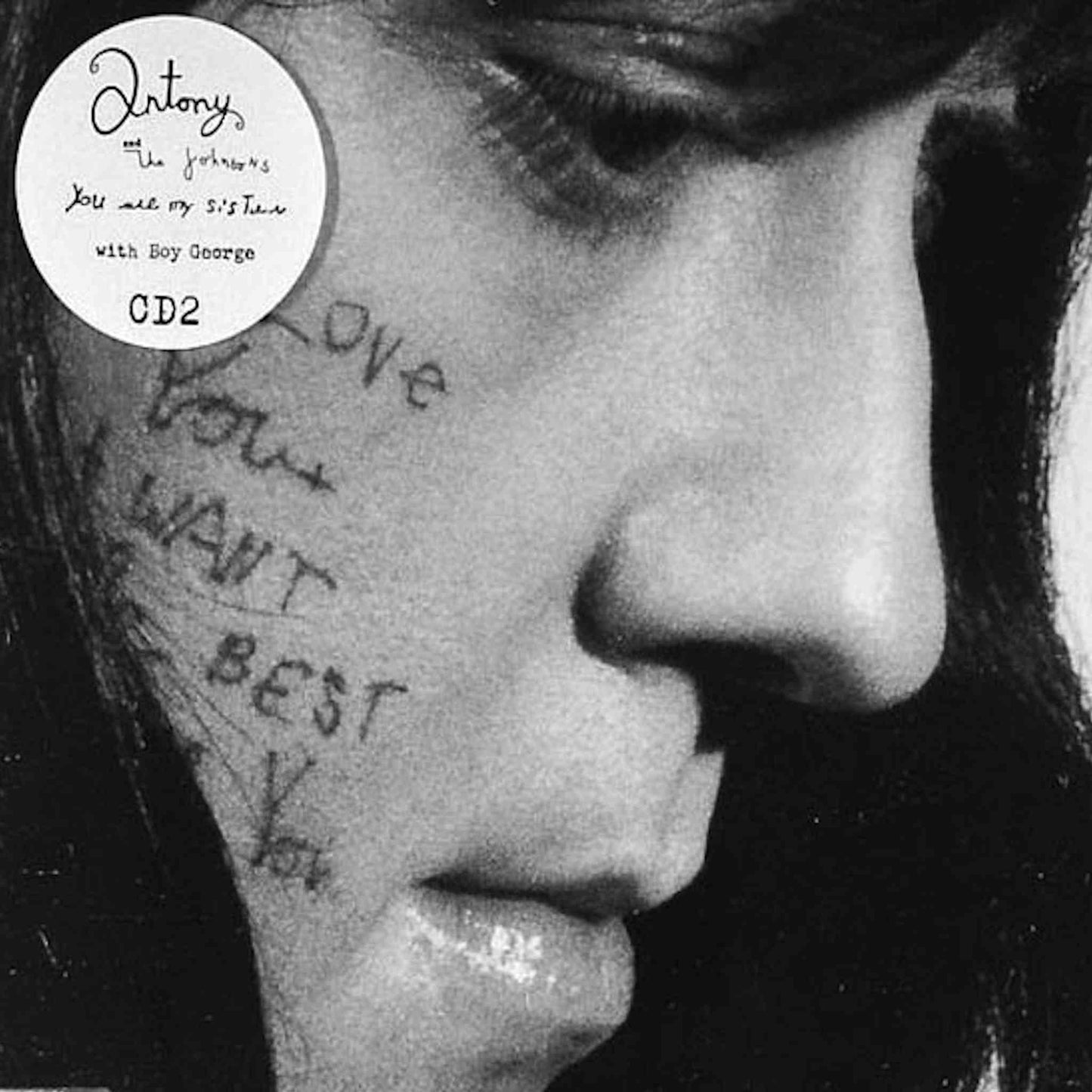 antony and the johnsons you are my sister