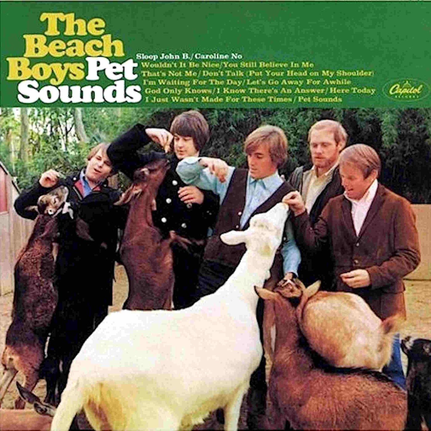 the beach boys pet sounds