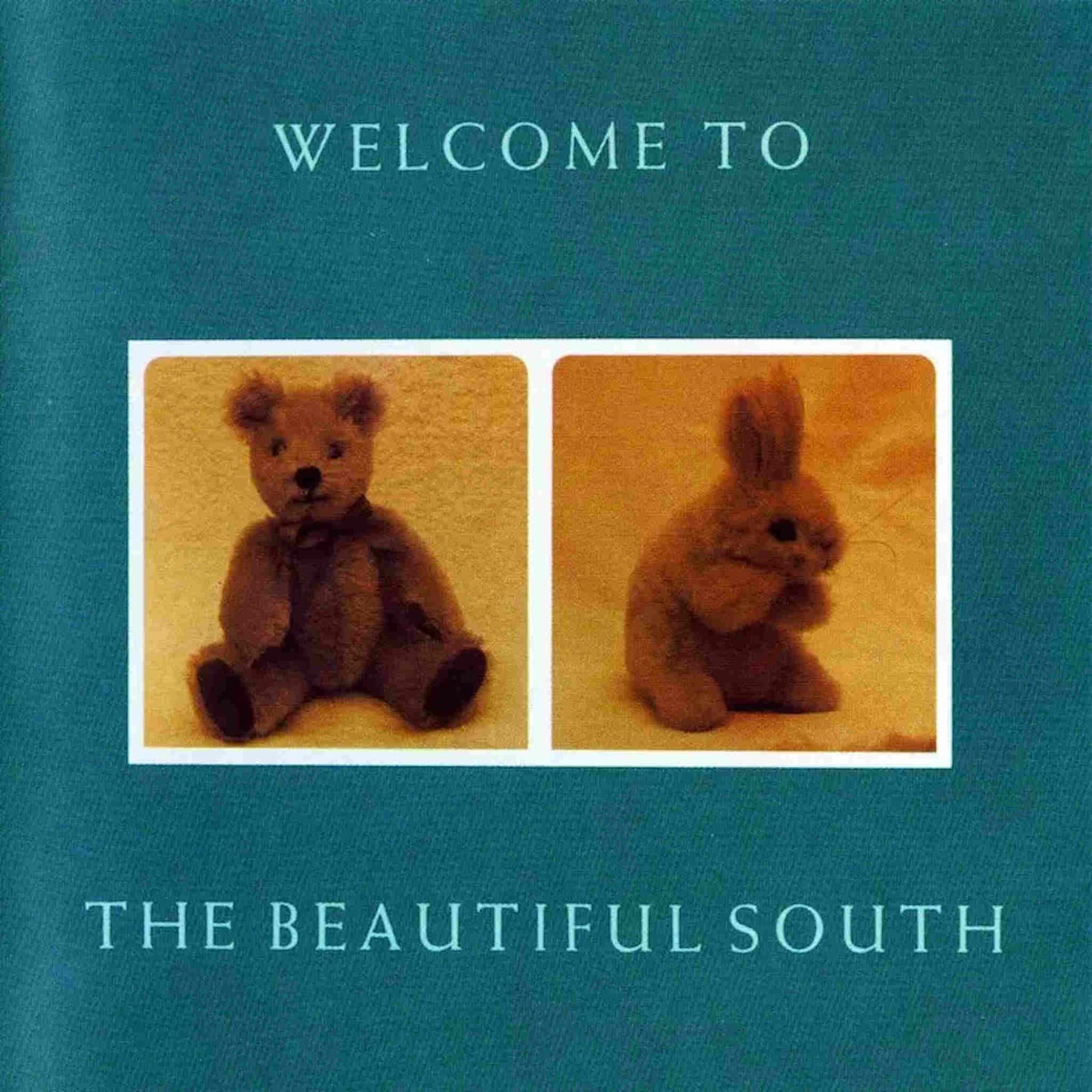 welcome to the beautiful south fluffy toys cover vinyl