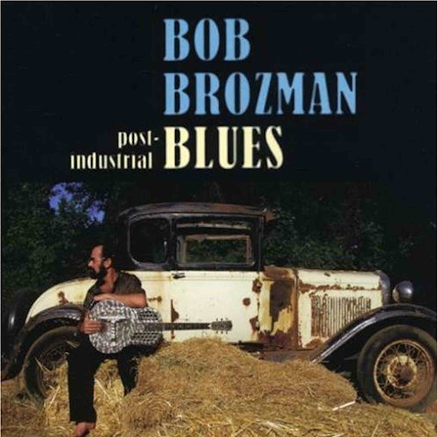 bob brozman post industrial blues cd