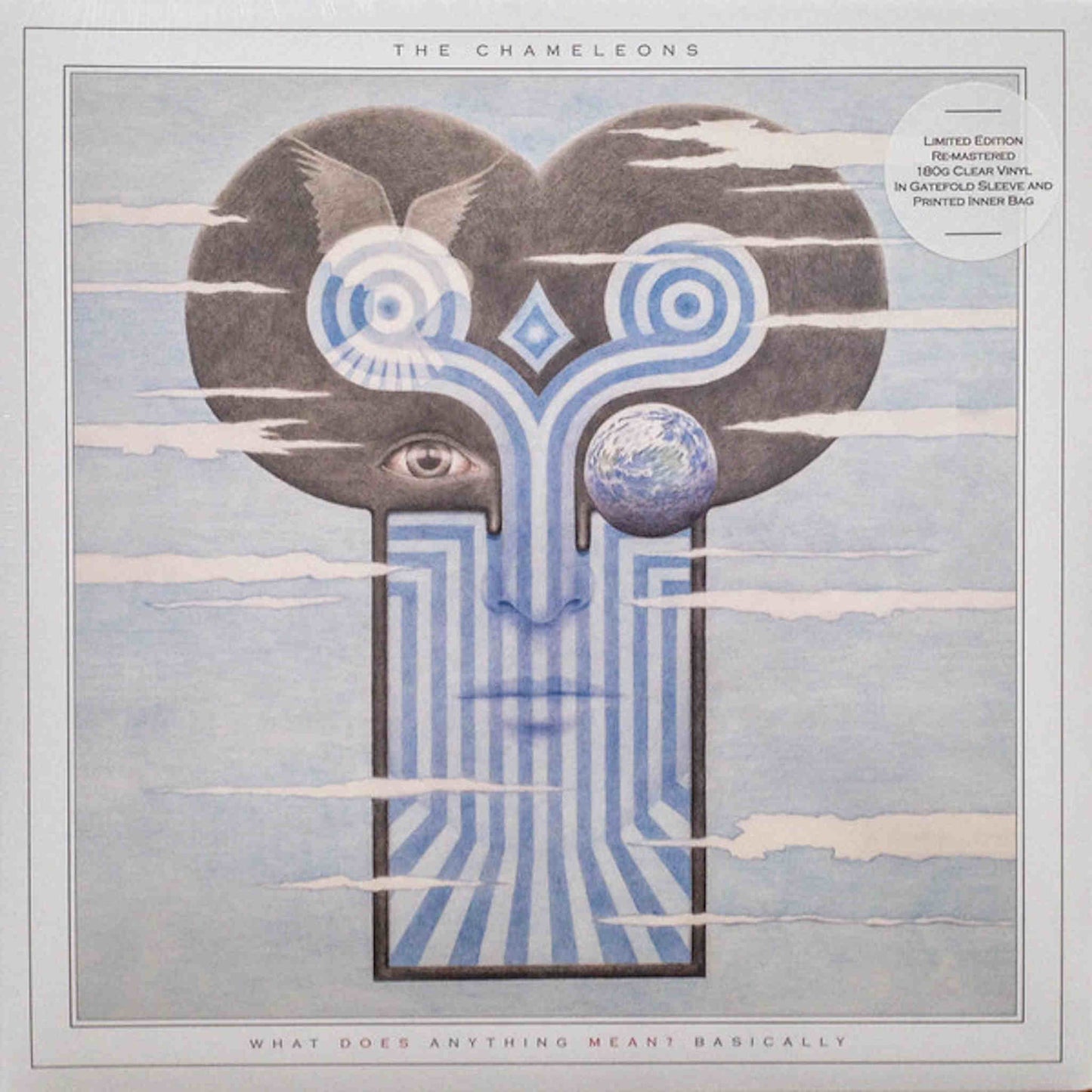 the chameleons what does anything mean basically