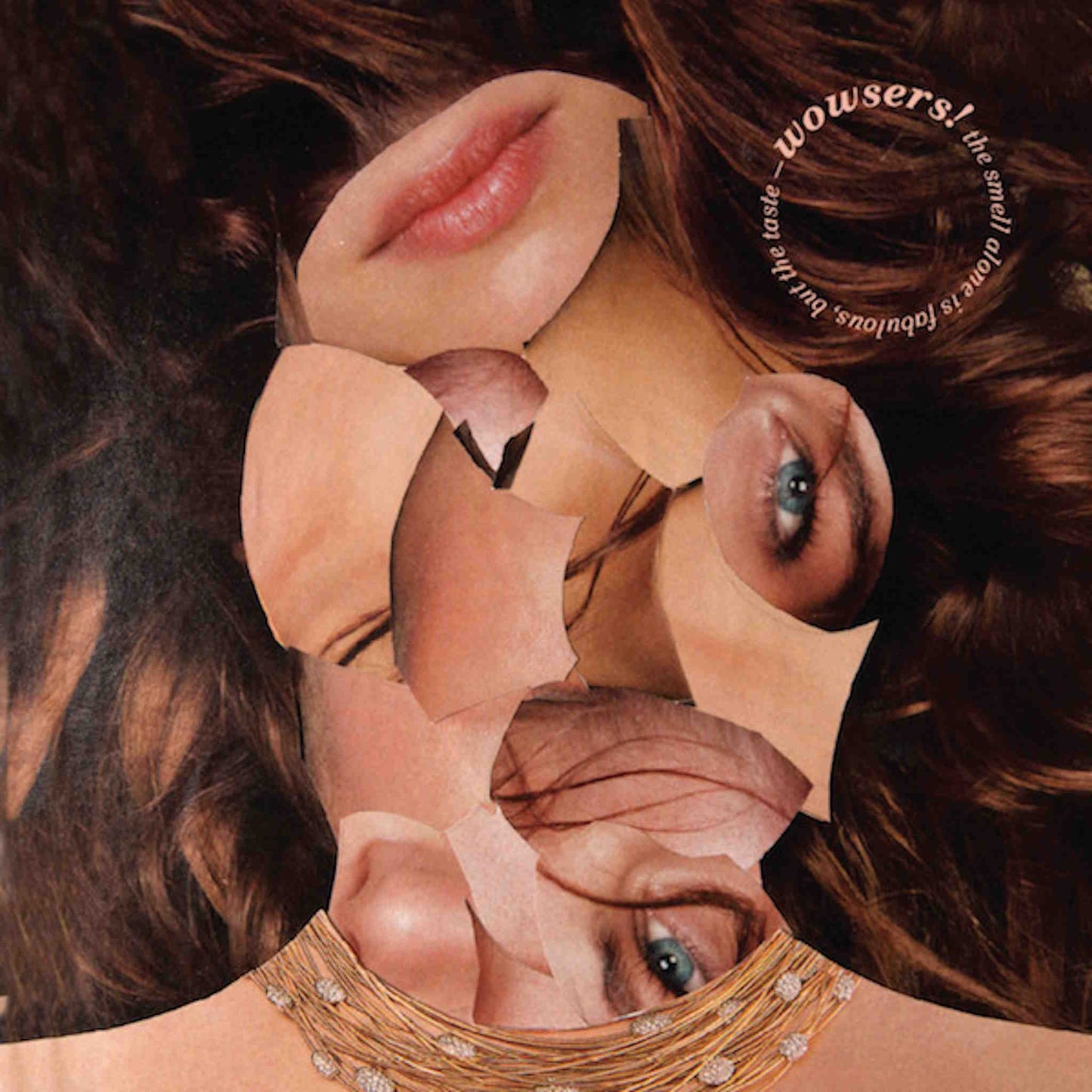 CHICKN - Wowsers! - vinyl LP