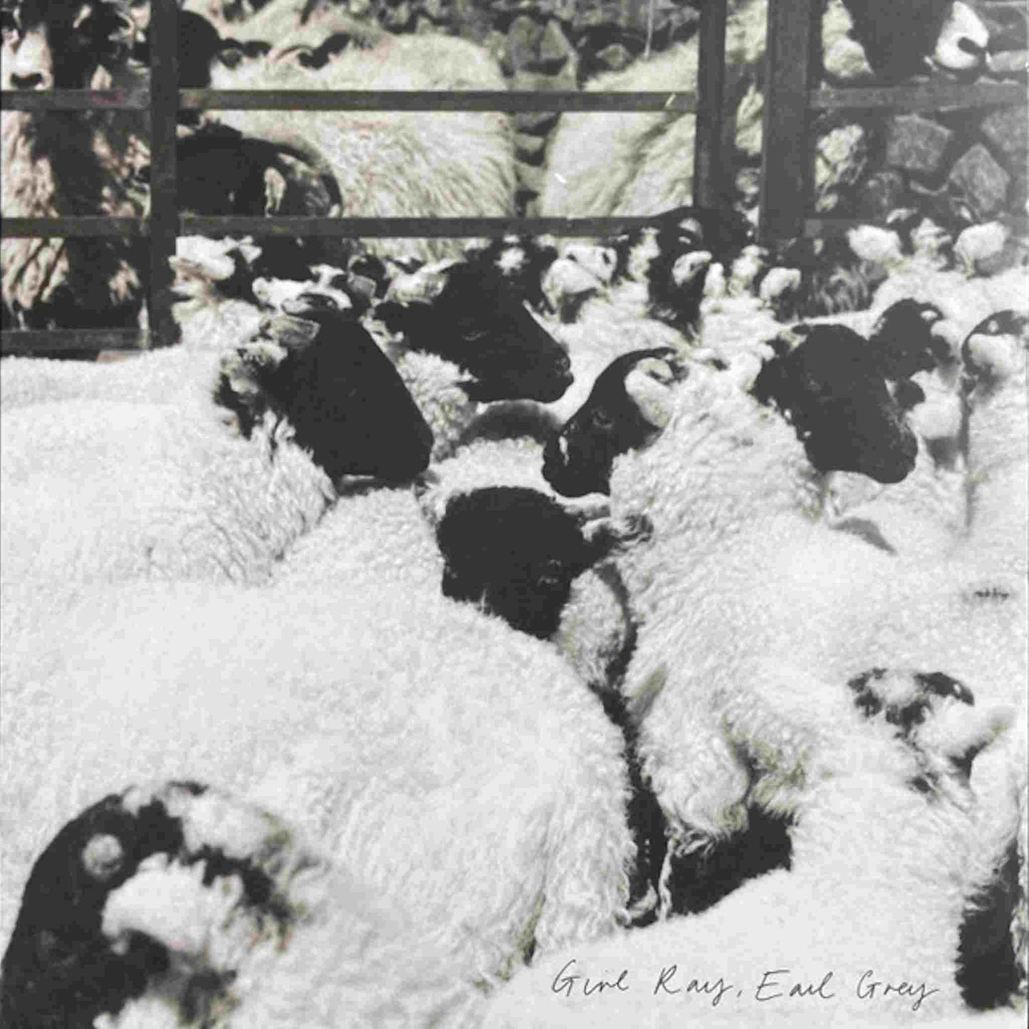 girl ray earl grey vinyl