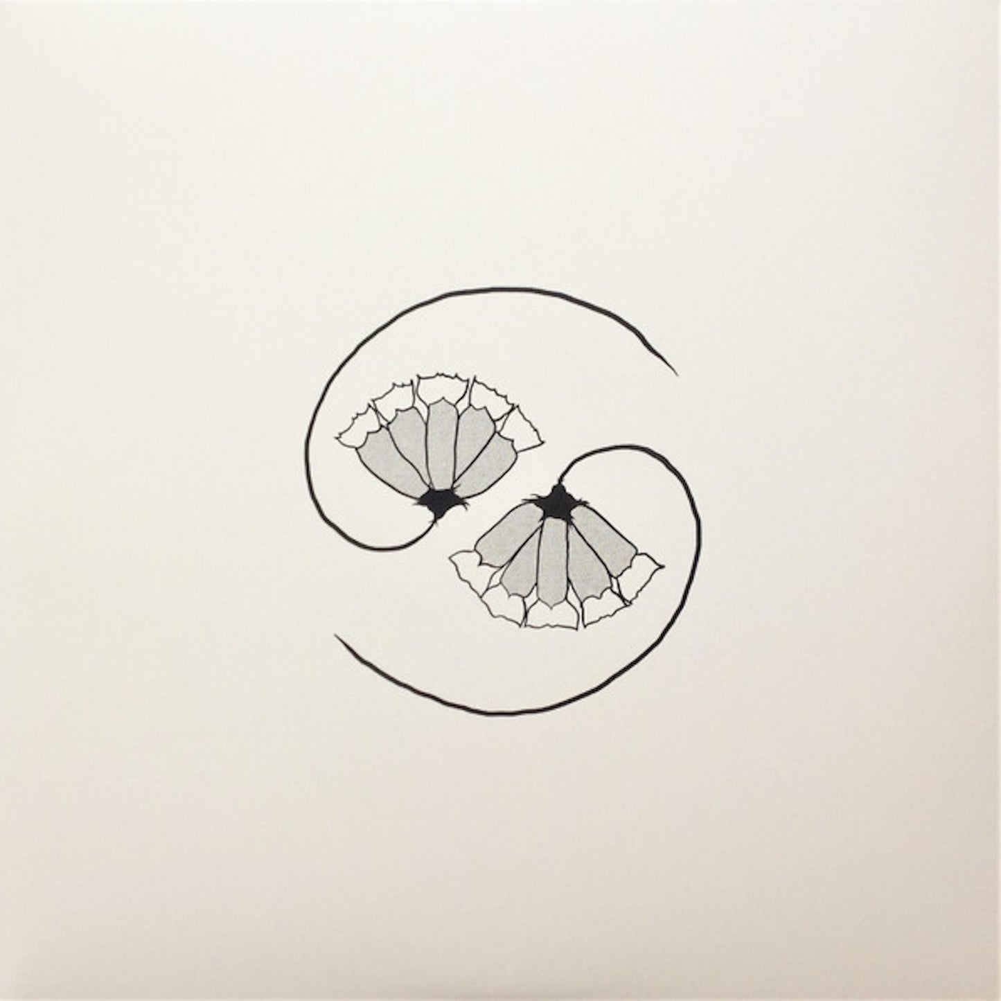 godspeed you black emperor g_ds pee at states end