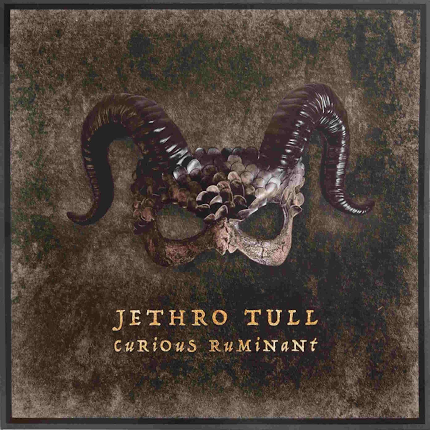 JETHRO TULL - Curious Ruminant - vinyl LP