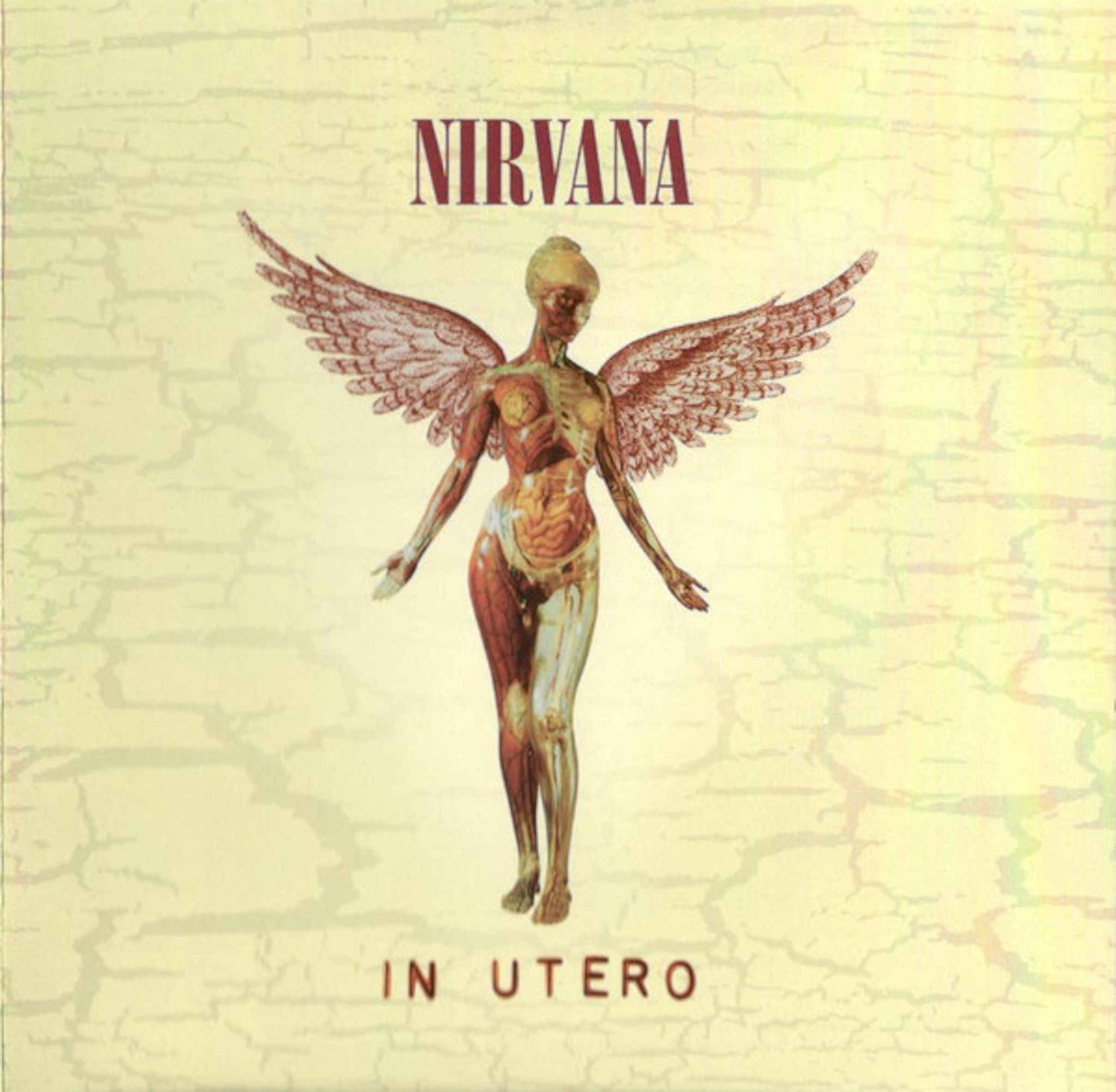 nirvana in utero