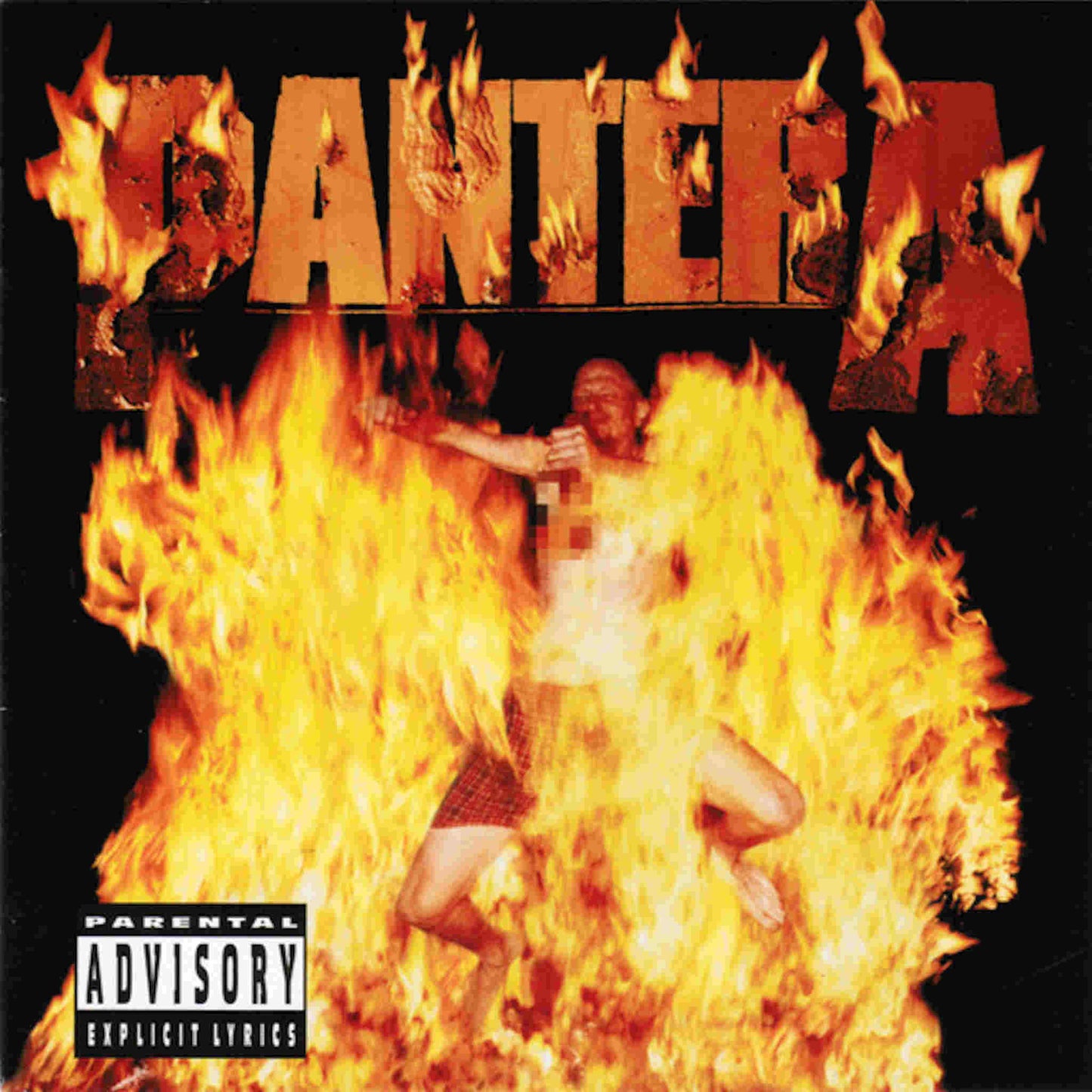 pantera reinventing the steel