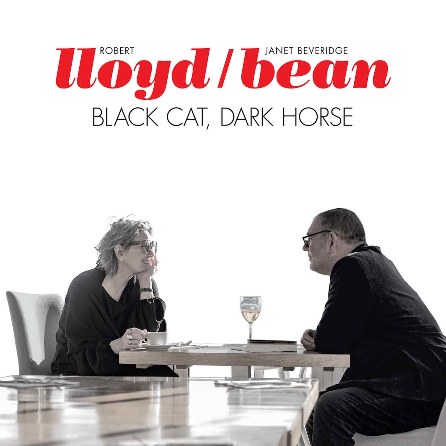ROBERT LLOYD, JANET BEVERIDGE BEAN - Black Cat, Dark Horse - vinyl LP