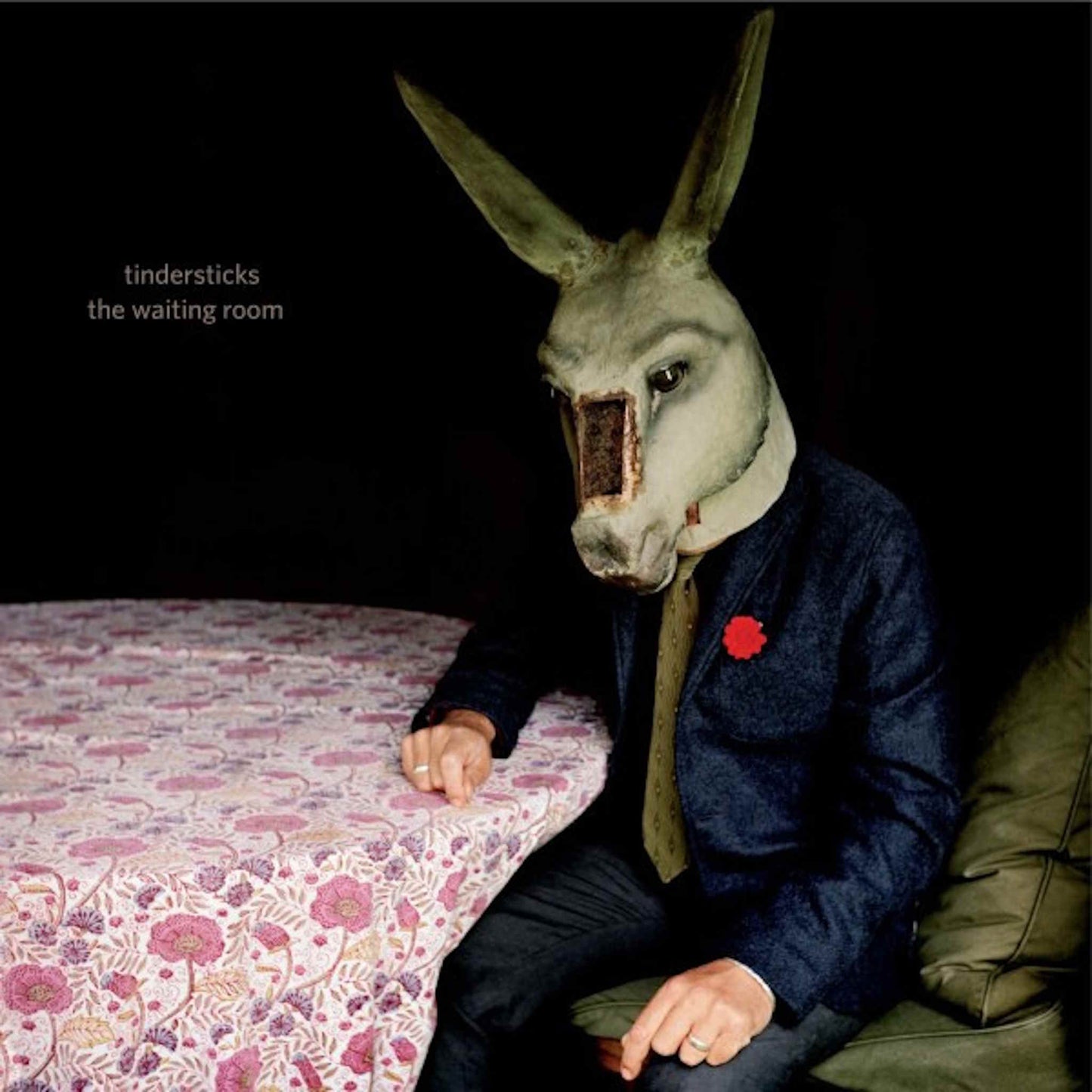 tindersticks the waiting room