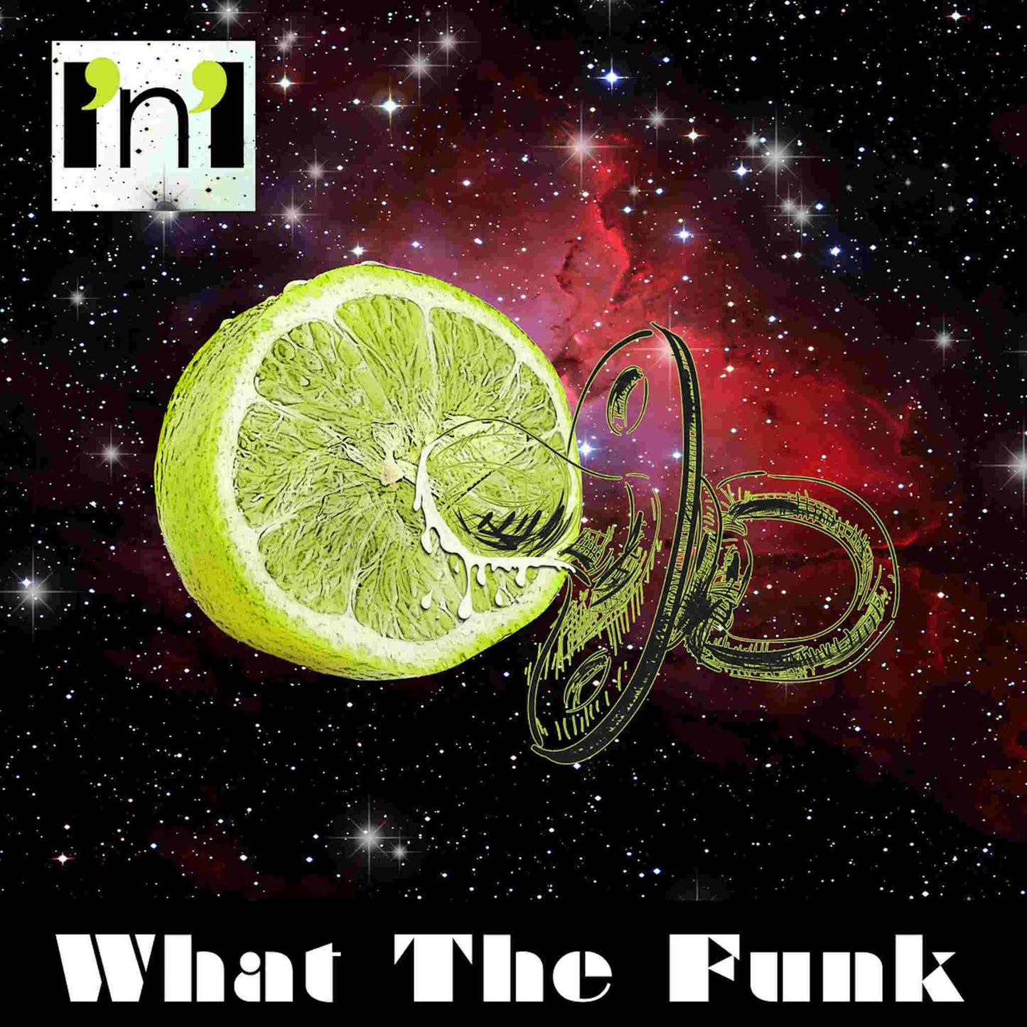WHAT THE FUNK - L'n'L - vinyl LP