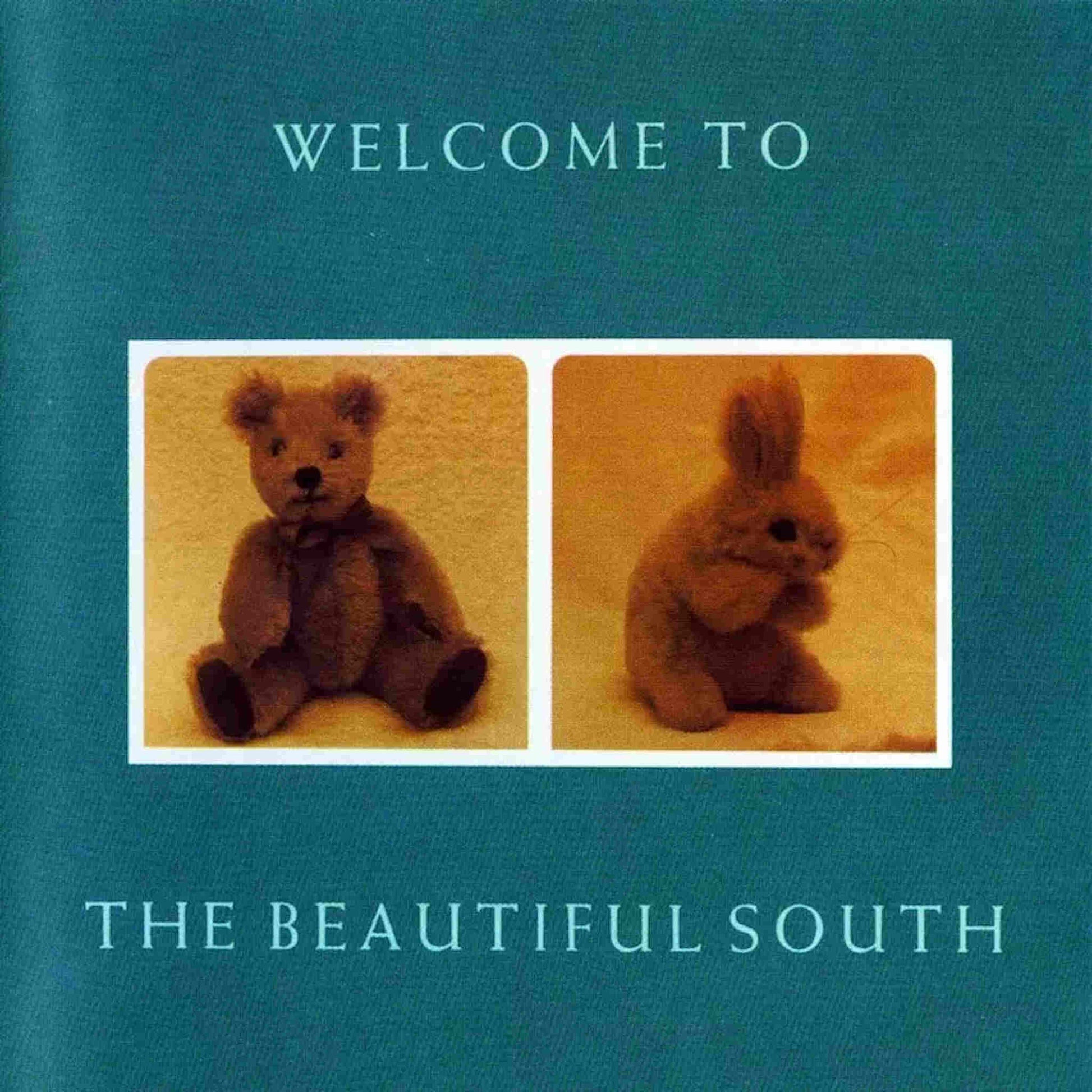 welcome to the beautiful south fluffy toys cover vinyl