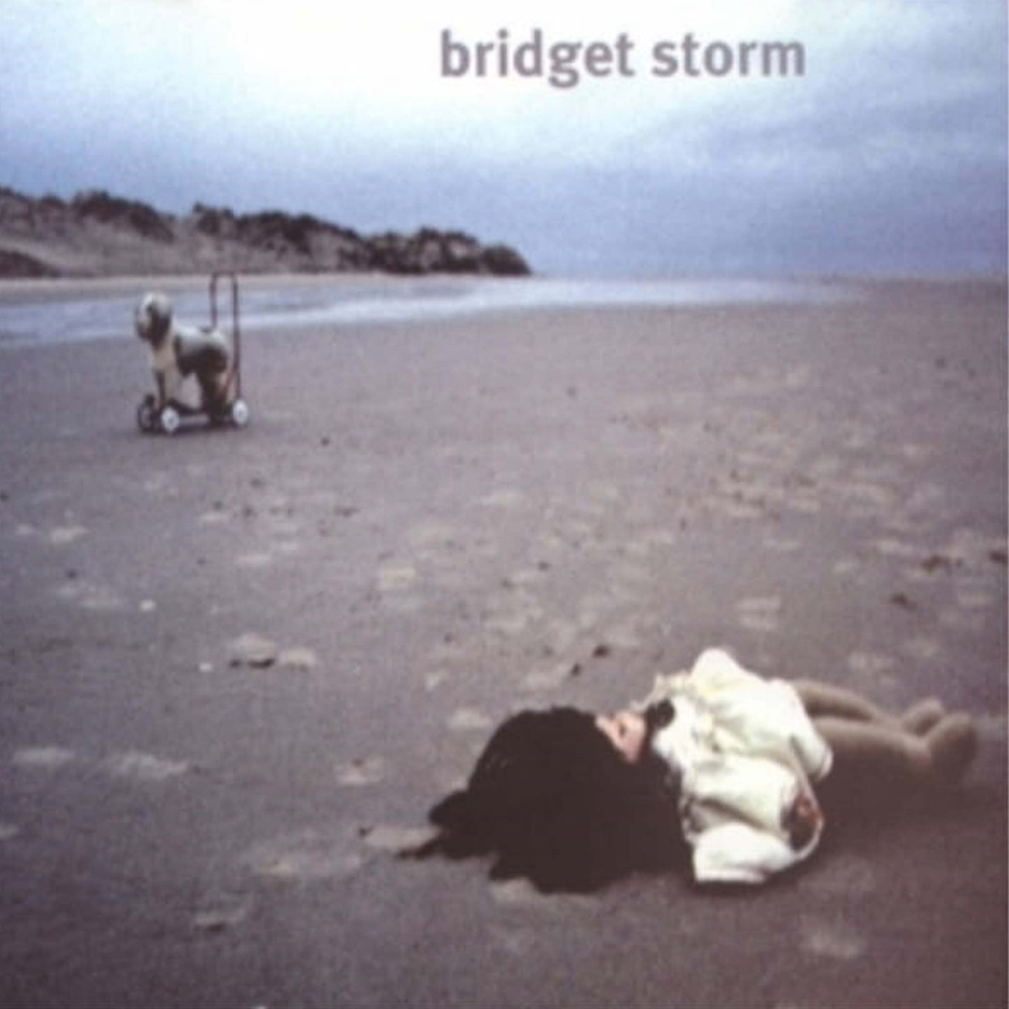 bridget storm here's what's left cd