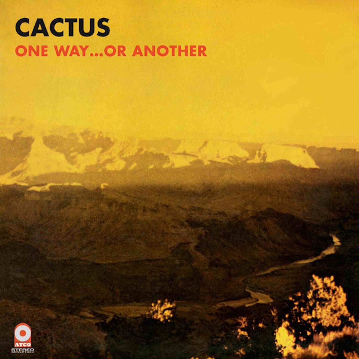 cactus one way or another