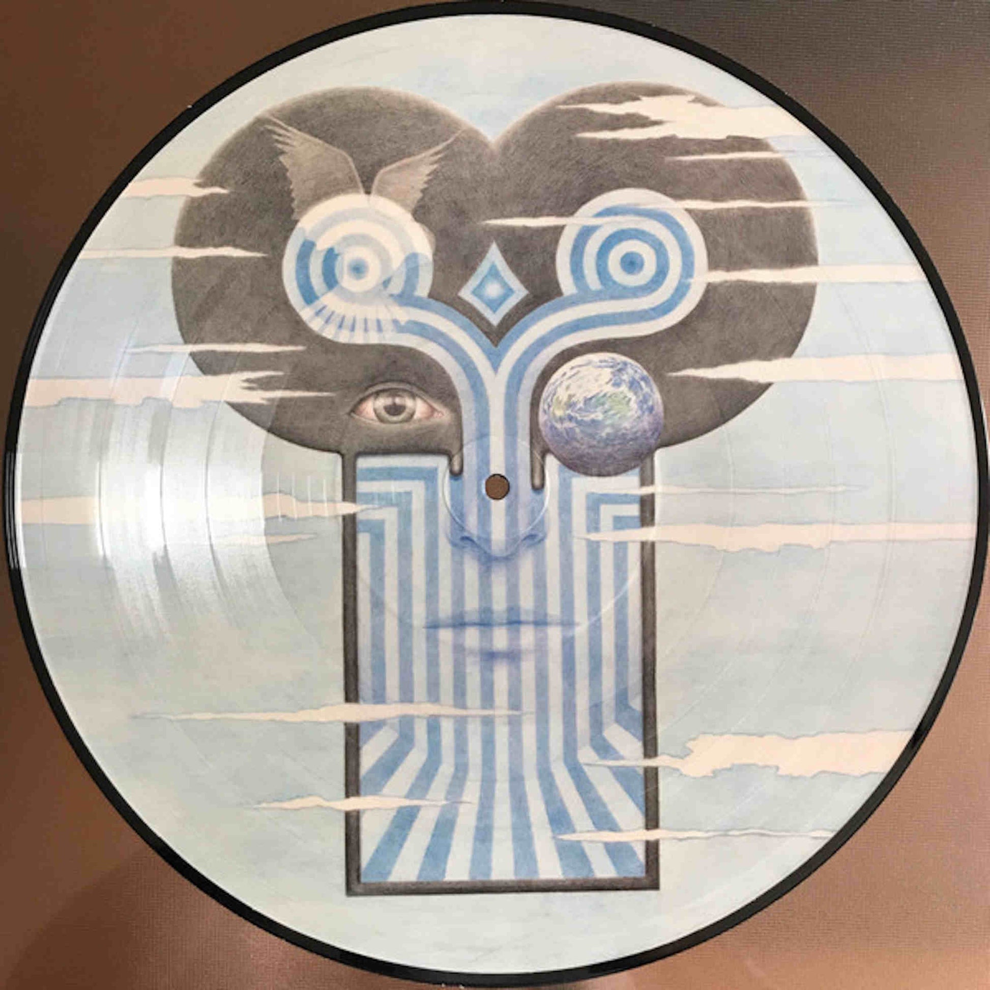 the chameleons what does anything mean basically picture disc 