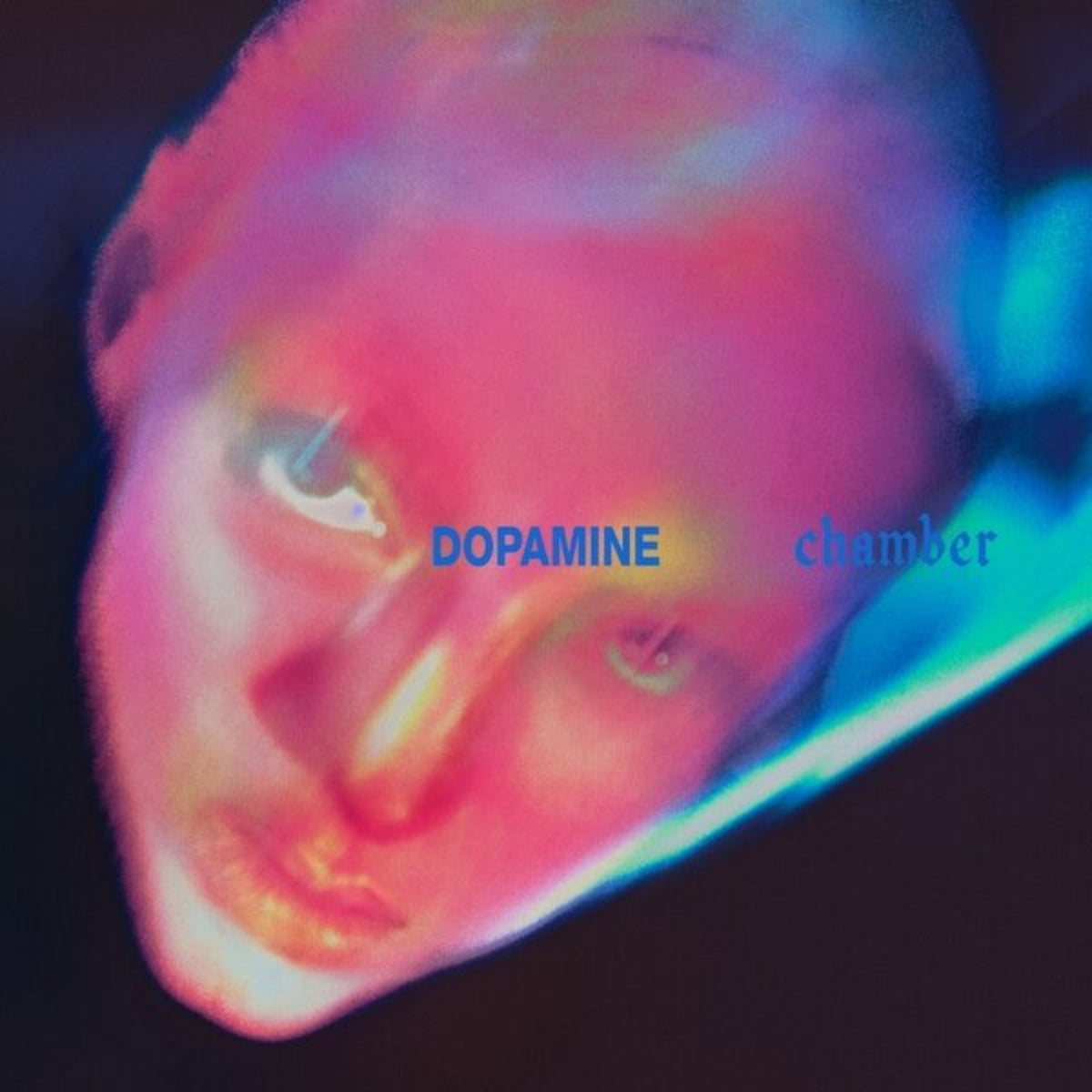 fontaines dc dopamine chamber