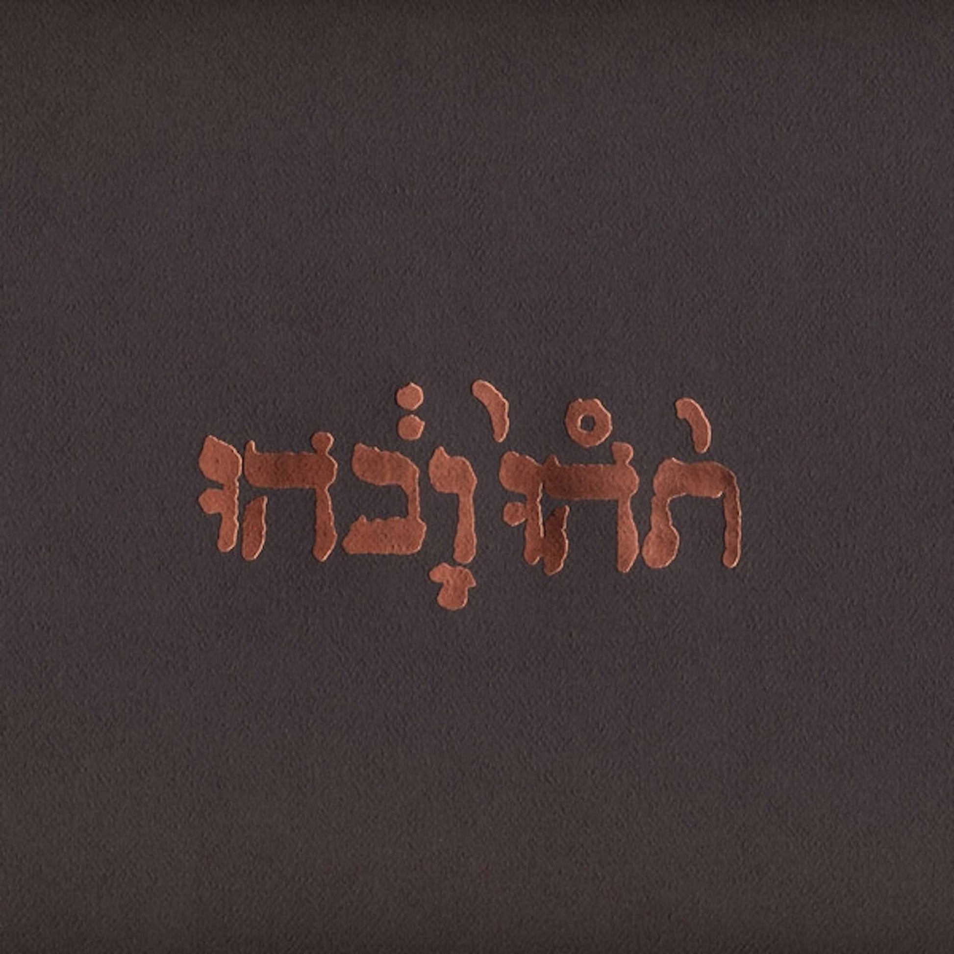 godspeed you black emperor slow riot for new zero kanada vinyl 
