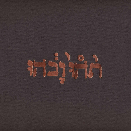 godspeed you black emperor slow riot for new zero kanada vinyl 