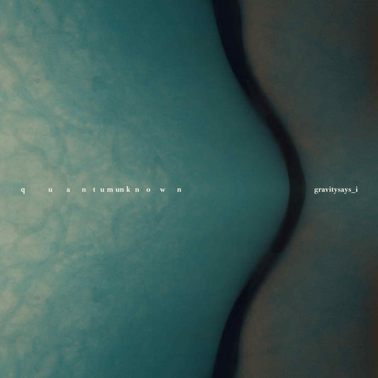GRAVITYSAYS_I - Quantum Unknown - vinyl LP