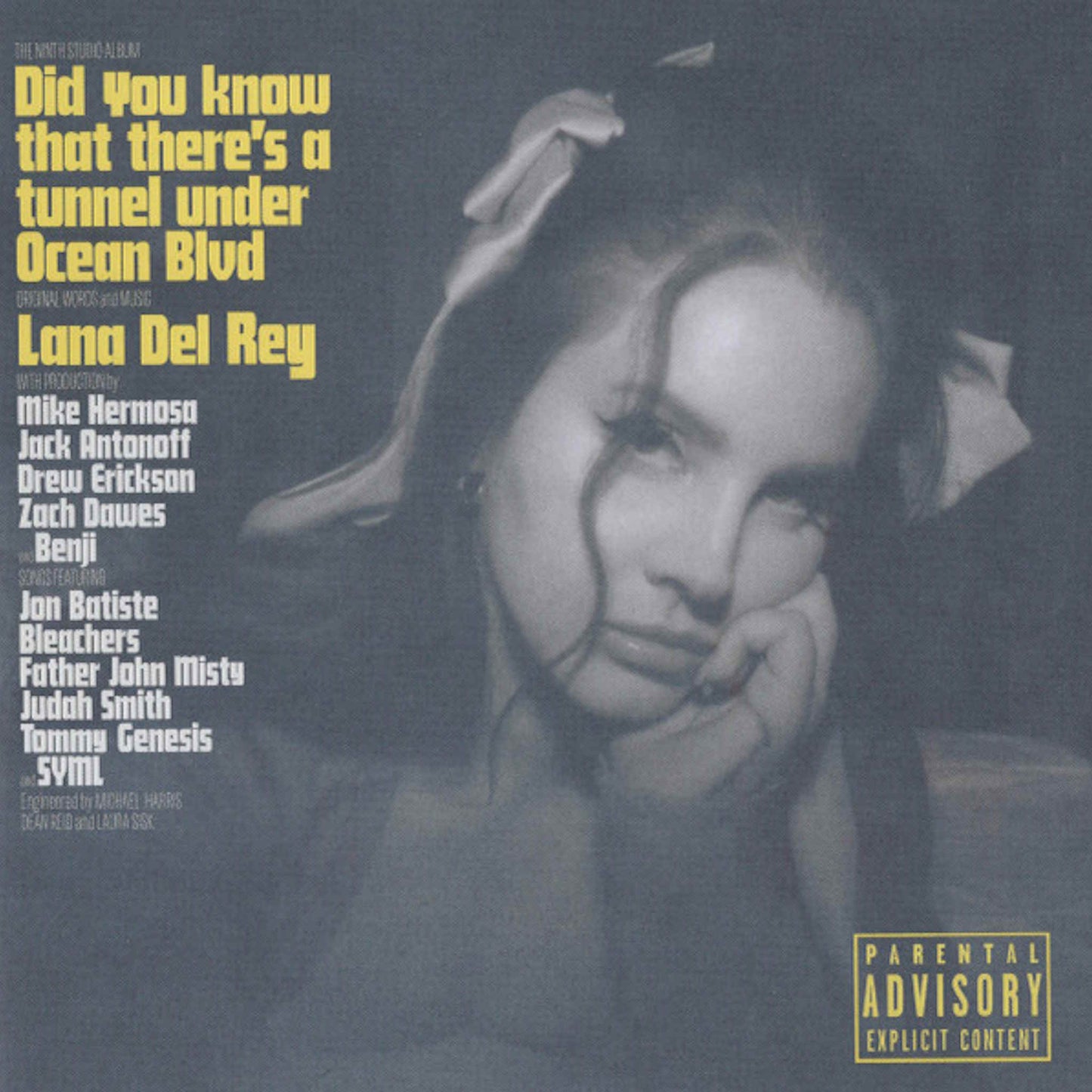 lana del rey did you know that there's a tunnel under ocean blvd 