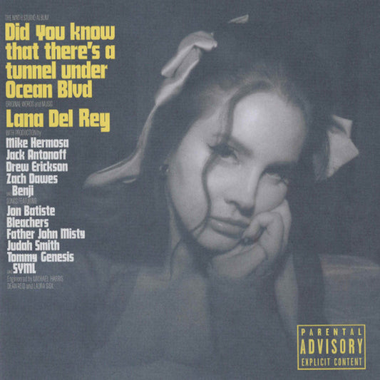 lana del rey did you know that there's a tunnel under ocean blvd 