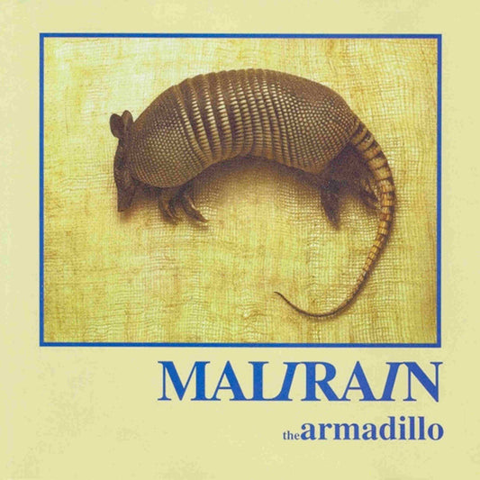 mali rain the armadillo cd