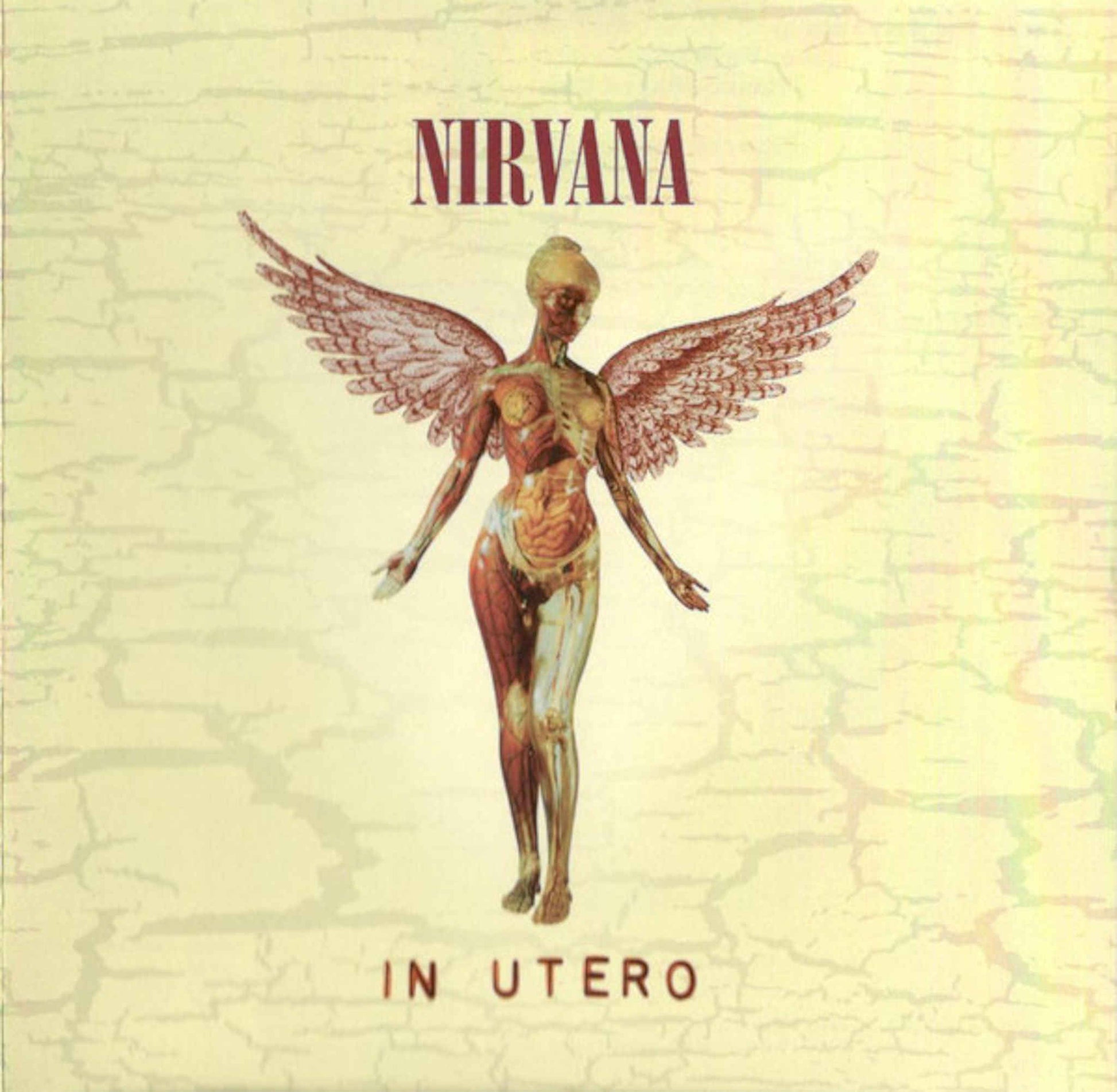 nirvana in utero