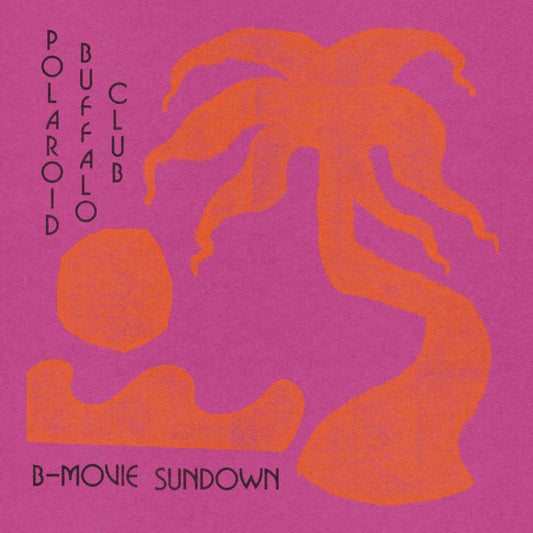 POLAROID BUFFALO CLUB - B-Movie Sundown - vinyl LP