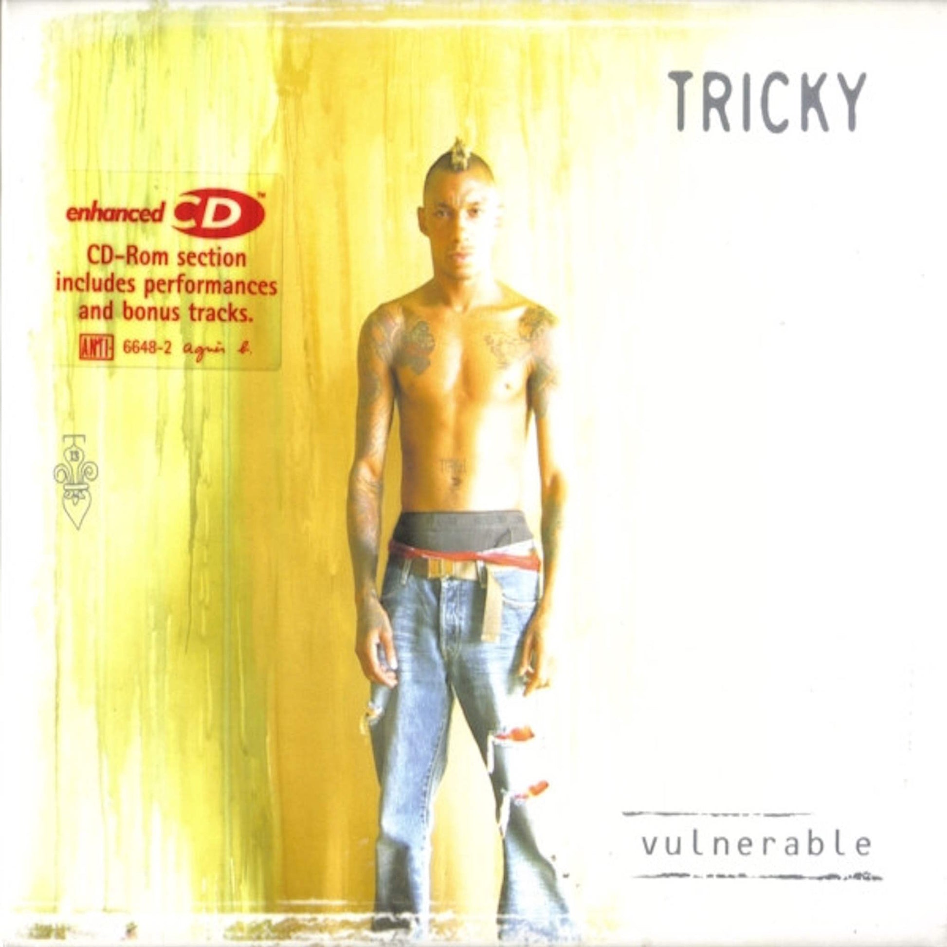 tricky vulnerable cd 