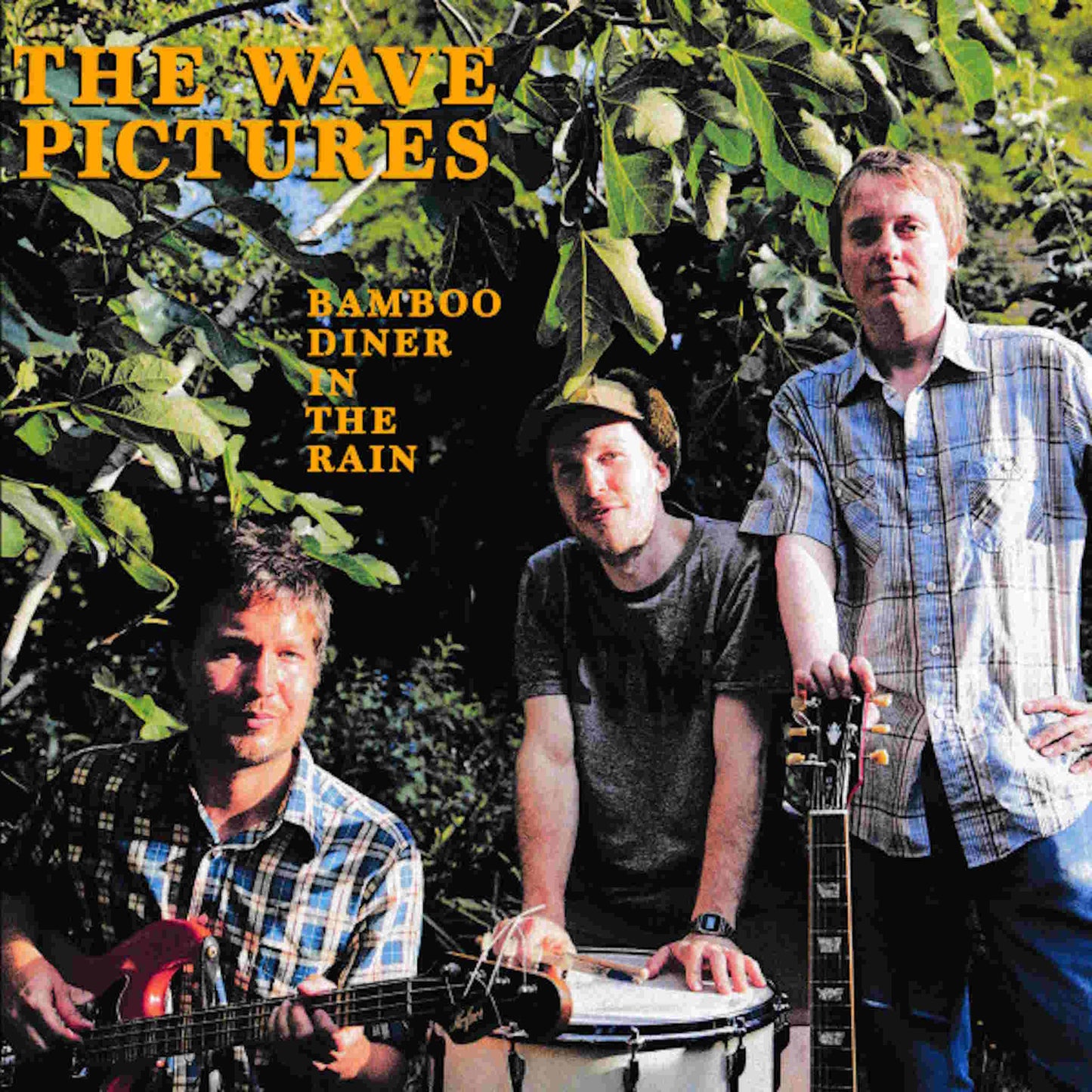 WAVE PICTURES - Bamboo Diner In The Rain - vinyl LP
