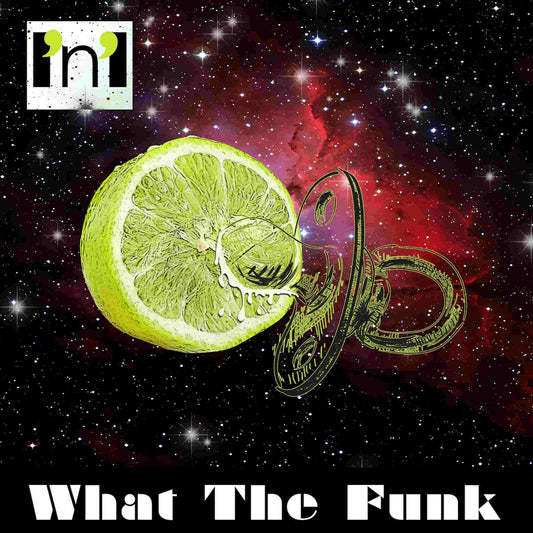WHAT THE FUNK - L'n'L - vinyl LP